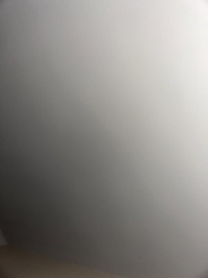 sibshdbdj's Profile Photo