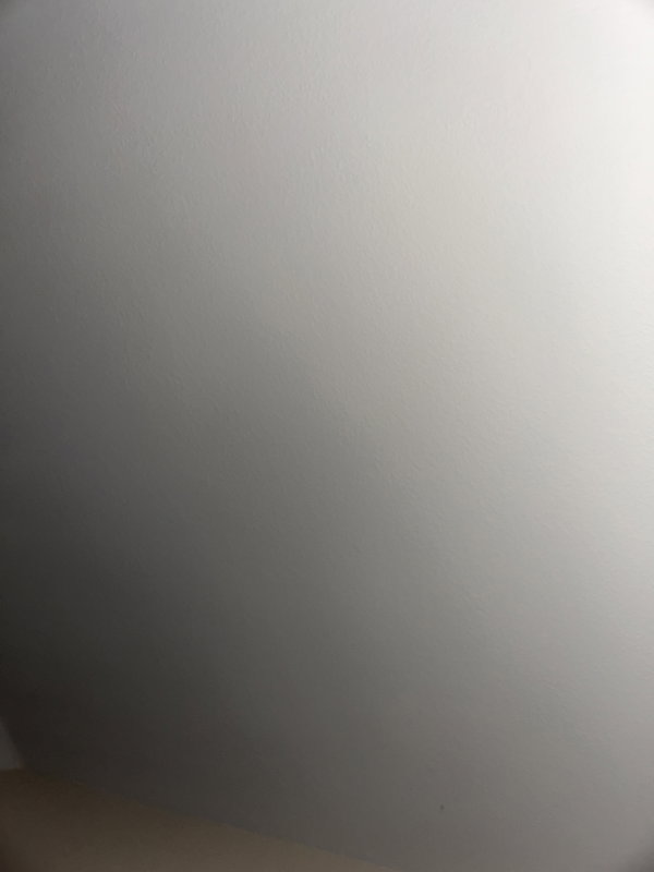 sibshdbdj, 26 years old from United States
