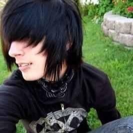 sillyemotwink's Profile Photo