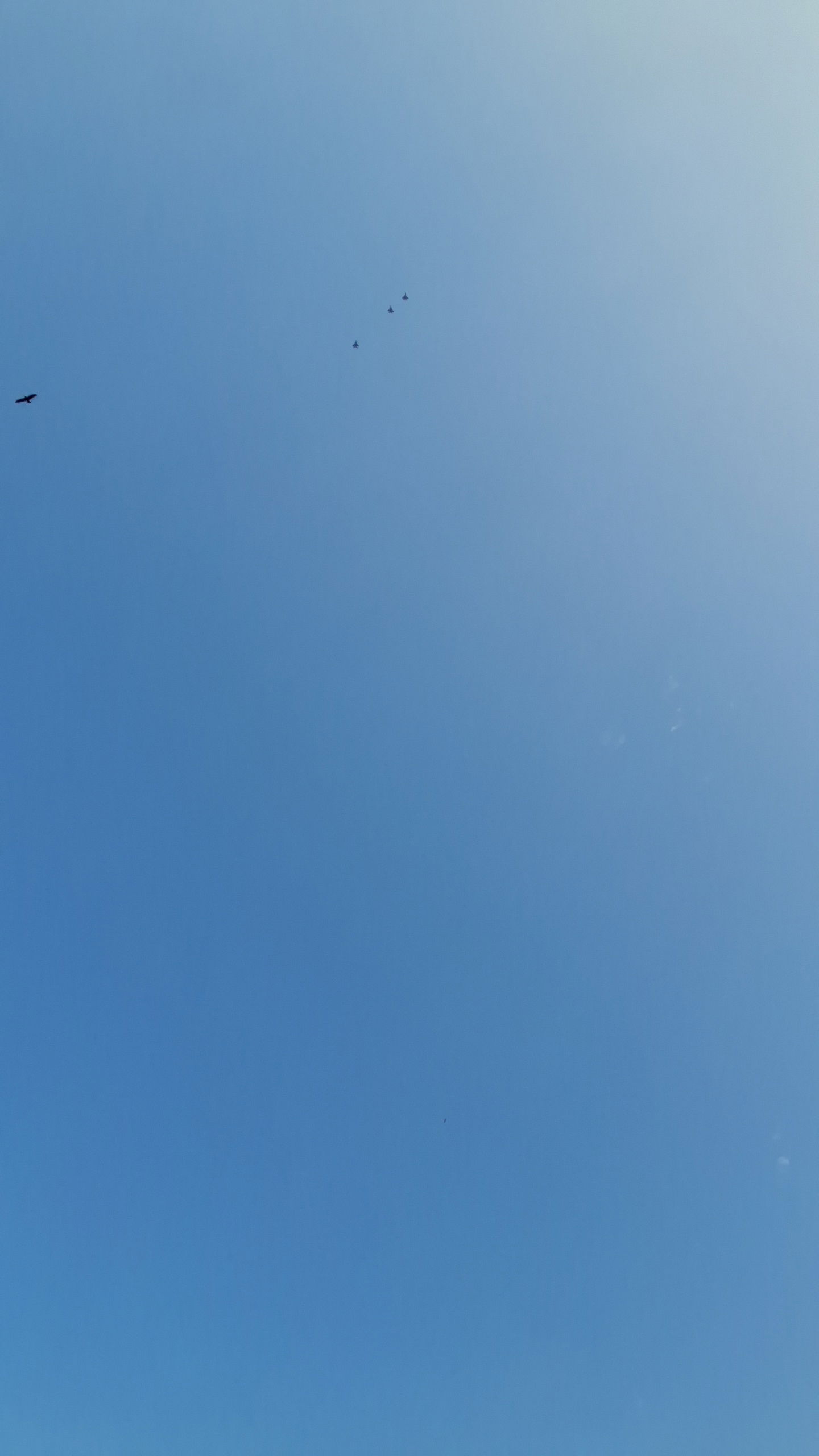 sismart248's Profile Photo