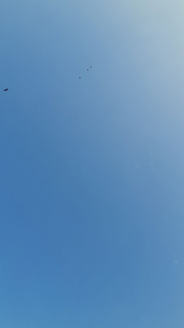 sismart248, 24 years old from Albania