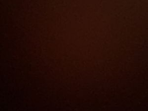 Siya's Profile Photo