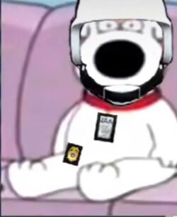 skcjdjwjx's Profile Photo