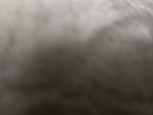 skeliv92's Profile Photo