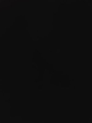 sojo03's Profile Photo