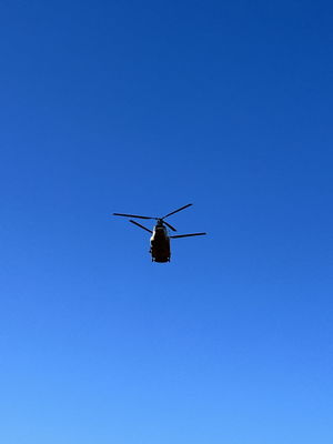 Soldier10's Profile Photo