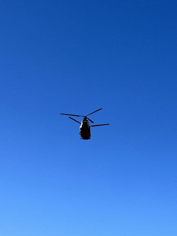 Soldier10, 56 years old from United States