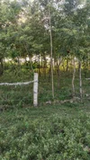 srivastavrishabh17
