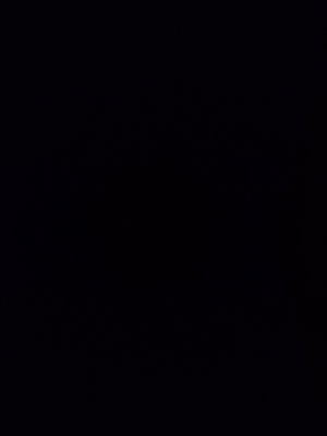 tamas's Profile Photo