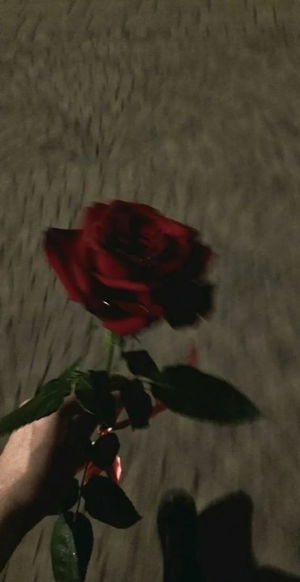 techgamer's Profile Photo