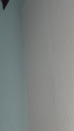 tony's Profile Photo