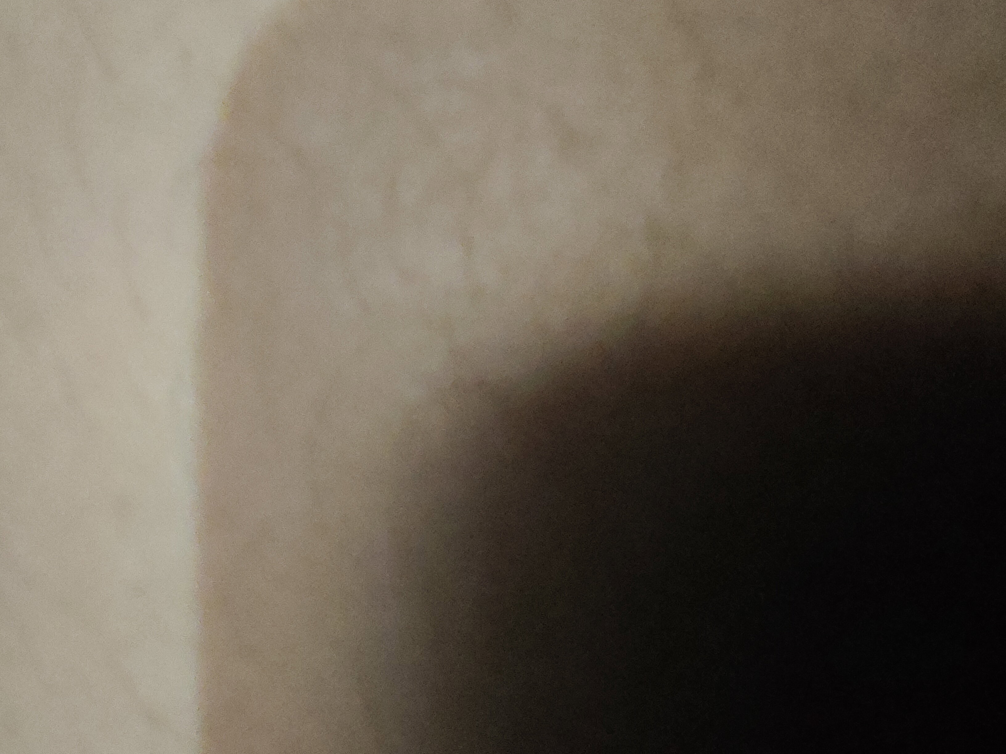 top5grasspetal's Profile Photo