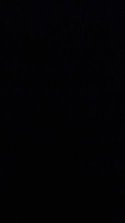 trading_nudesagirls_only's Profile Photo