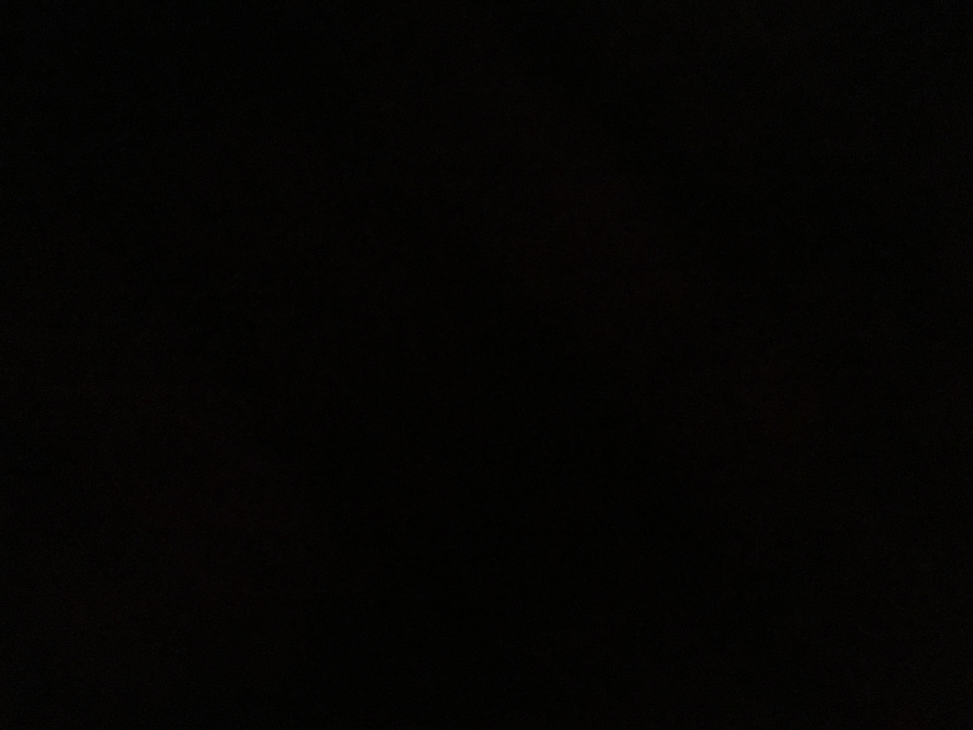tradingorcam's Profile Photo