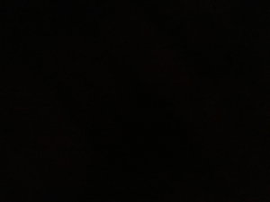 tradingorcam's Profile Photo