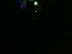 tristanzielinski27's Profile Photo