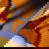 tym4, 21 years old from United States