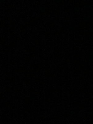 user013100's Profile Photo