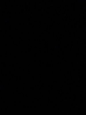 val1604's Profile Photo