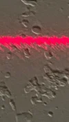 van_halen7278