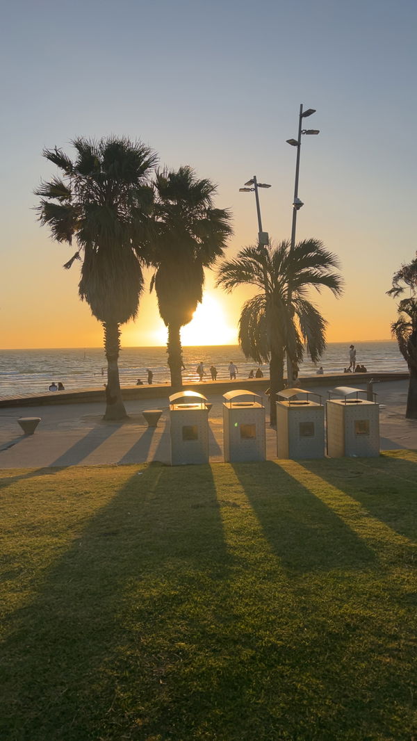 varunkoripa34, 18 years old from New Zealand