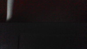 vffgsadvs's Profile Photo