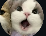 waxexeg316's Profile Photo