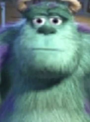 wingedturtle's Profile Photo