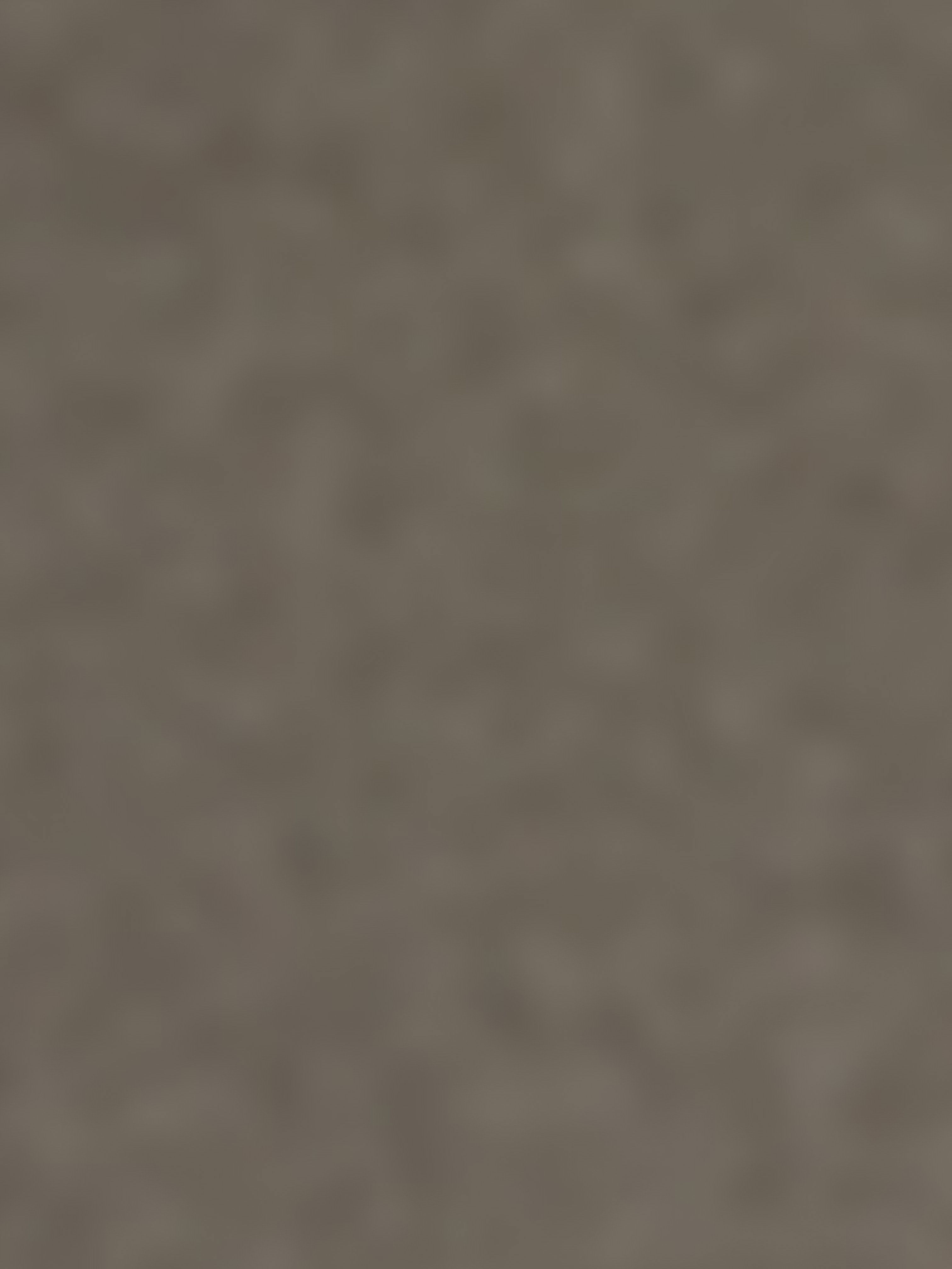 workm2175's Profile Photo