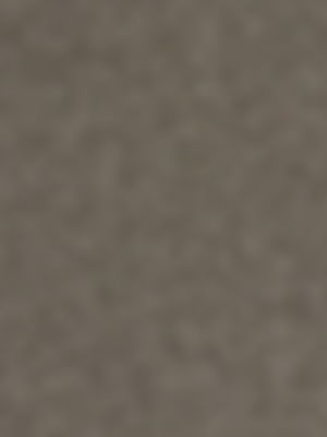 workm2175's Profile Photo