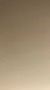 y88806775