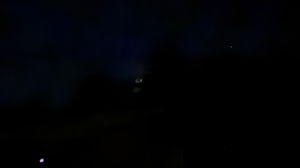 Yesman101's Profile Photo