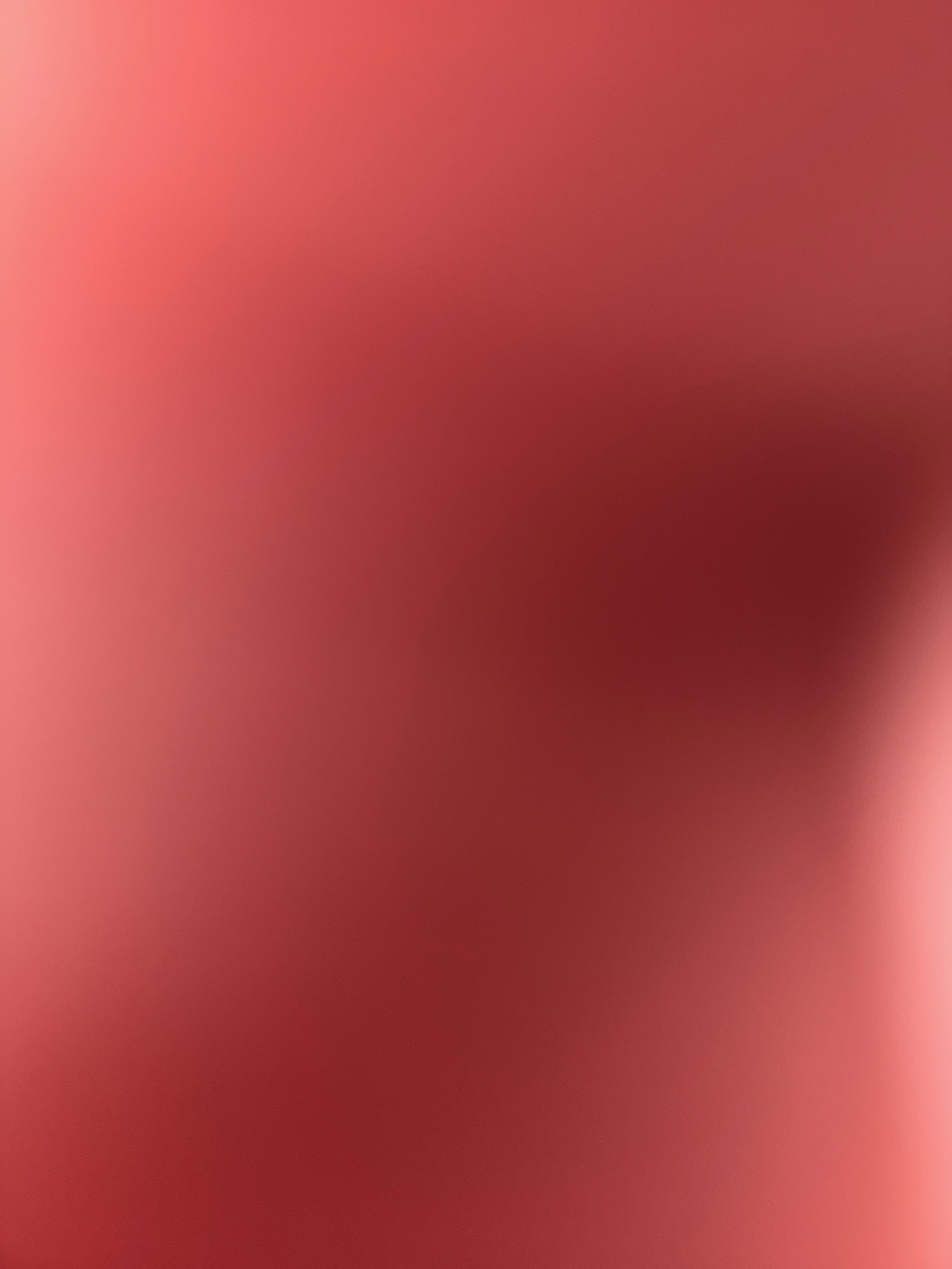 Yungsteve's Profile Photo