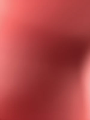 Yungsteve's Profile Photo