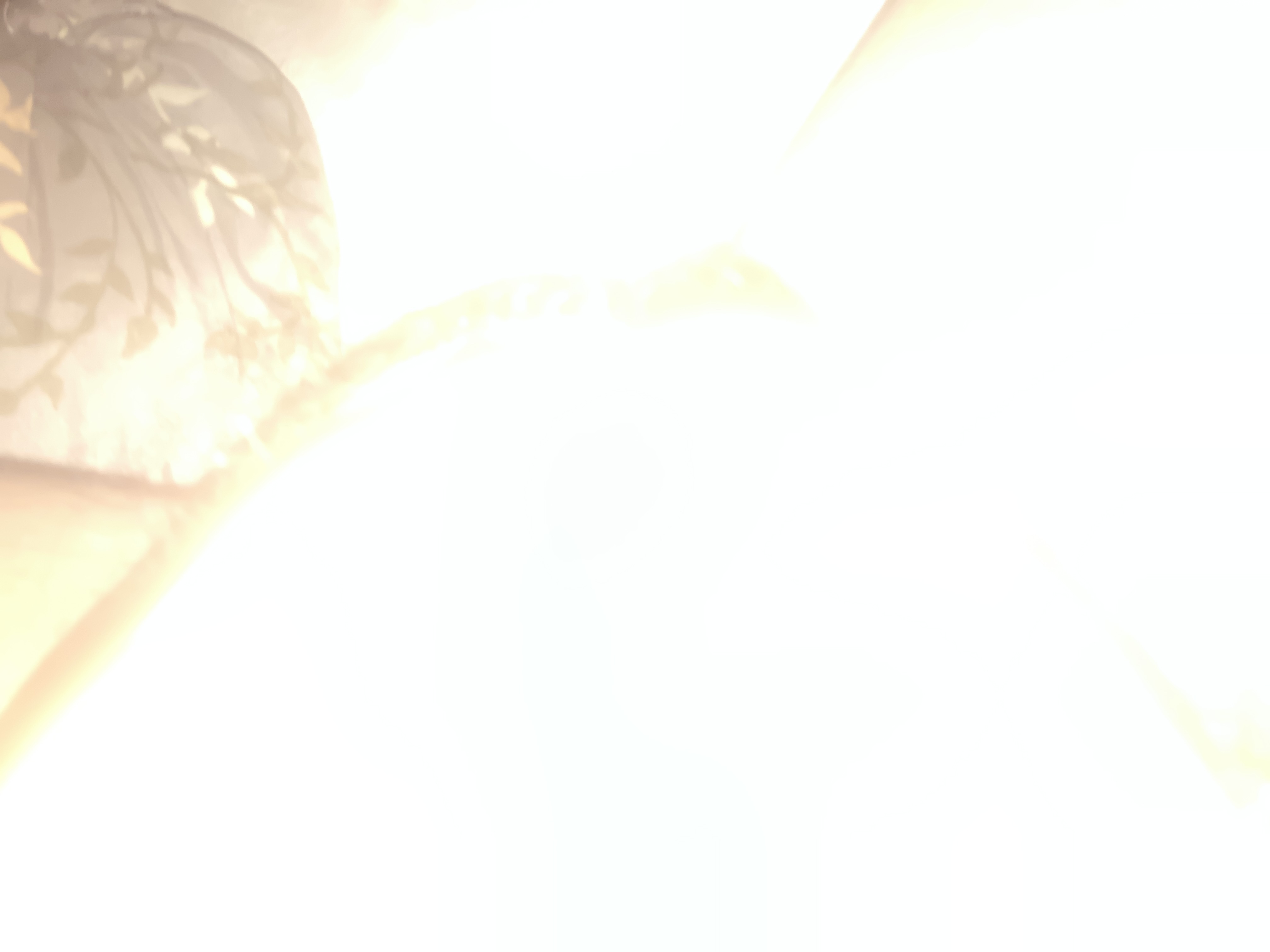 yyumee's Profile Photo