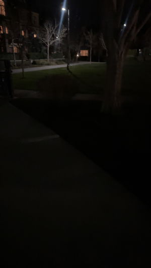 z44814549's Profile Photo