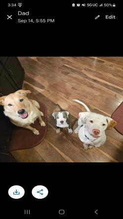 zachybiy's Profile Photo