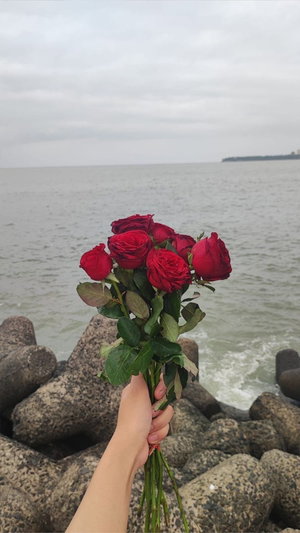 Hand holding red roses by the sea on rocks.