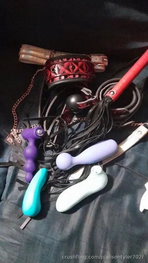 Assorted sex toys and bondage gear on dark fabric.