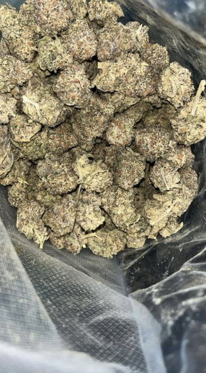 Close-up of dried cannabis buds in a clear plastic bag.