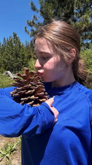 Woman in blue sweatshirt holding pinecone outdoors in forest.