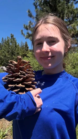 Woman in blue sweatshirt holding pinecone outdoors in forest.