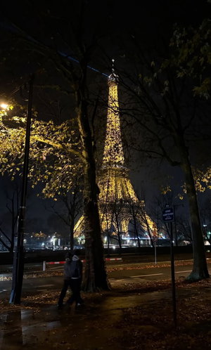 Two people walking near illuminated Eiffel Tower at night.
