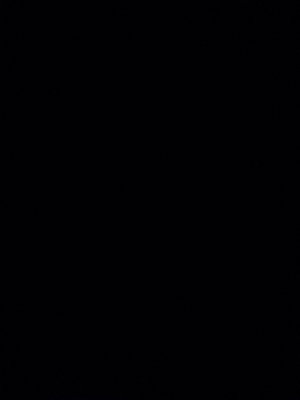 Solid black image with no visible subjects.