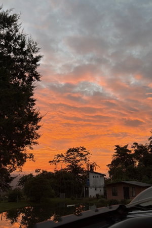 Sunset over trees and houses with orange sky and calm water reflection.