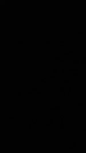 Blank black image with no visible content.