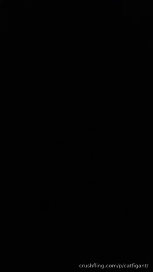 Blank black image with no visible content.