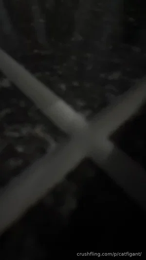 Dark, blurry image with indistinct shapes and cross-like structure.