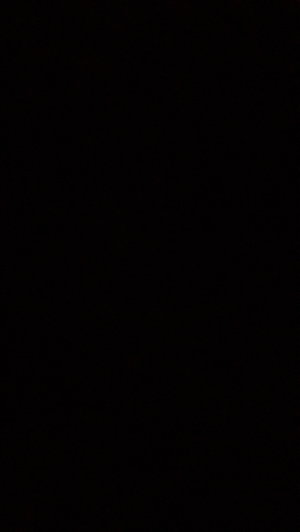 Blank black image with no visible content.