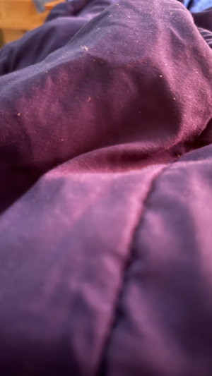 Close-up of wrinkled purple fabric on bed.